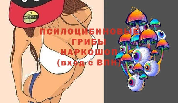 дурь Верея